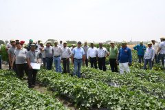 annual-meet-11