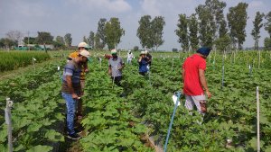 training-programme-1