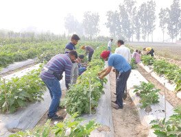 training-programme-3