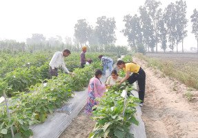 training-programme-4