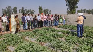 training-programme-7