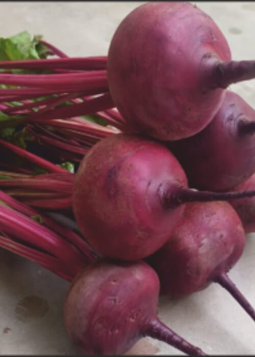 Beet Root F1 Rozy