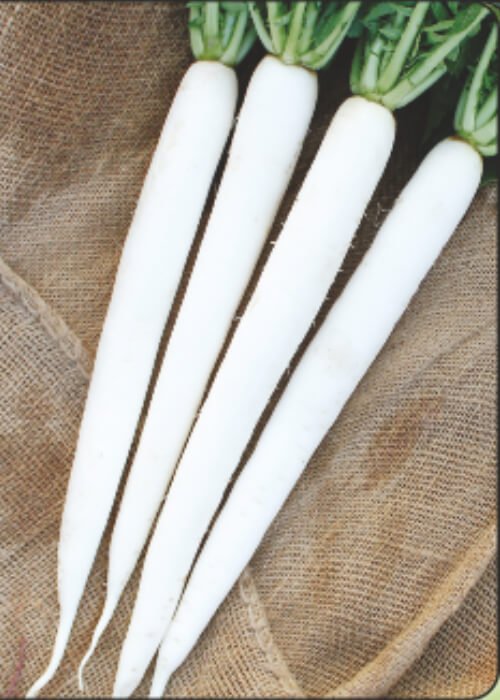 F1 Super White