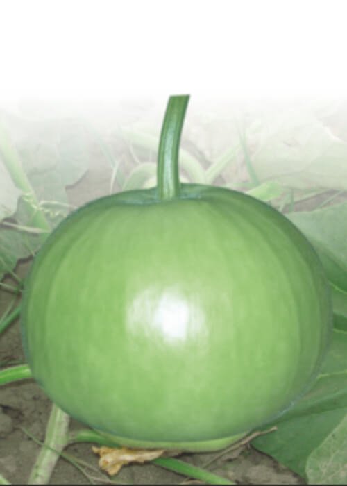 S 1