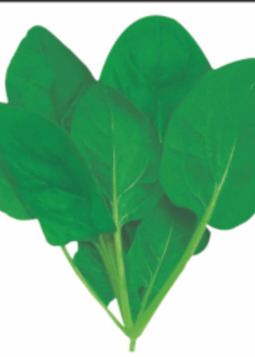 Spinach All Green