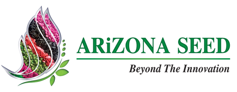 Arizona Logo