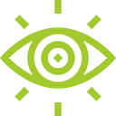 vision icon