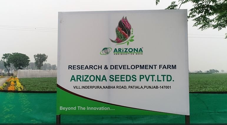 R&d Img