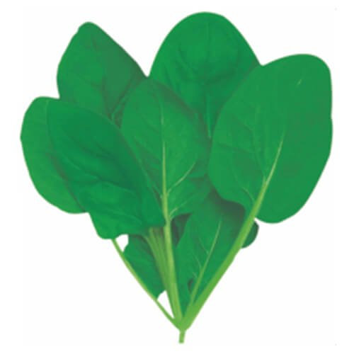 Spinach All Green