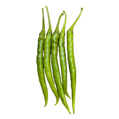 Chilli F1 Az 2037