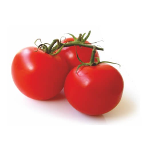 Tomato F1 Sahil