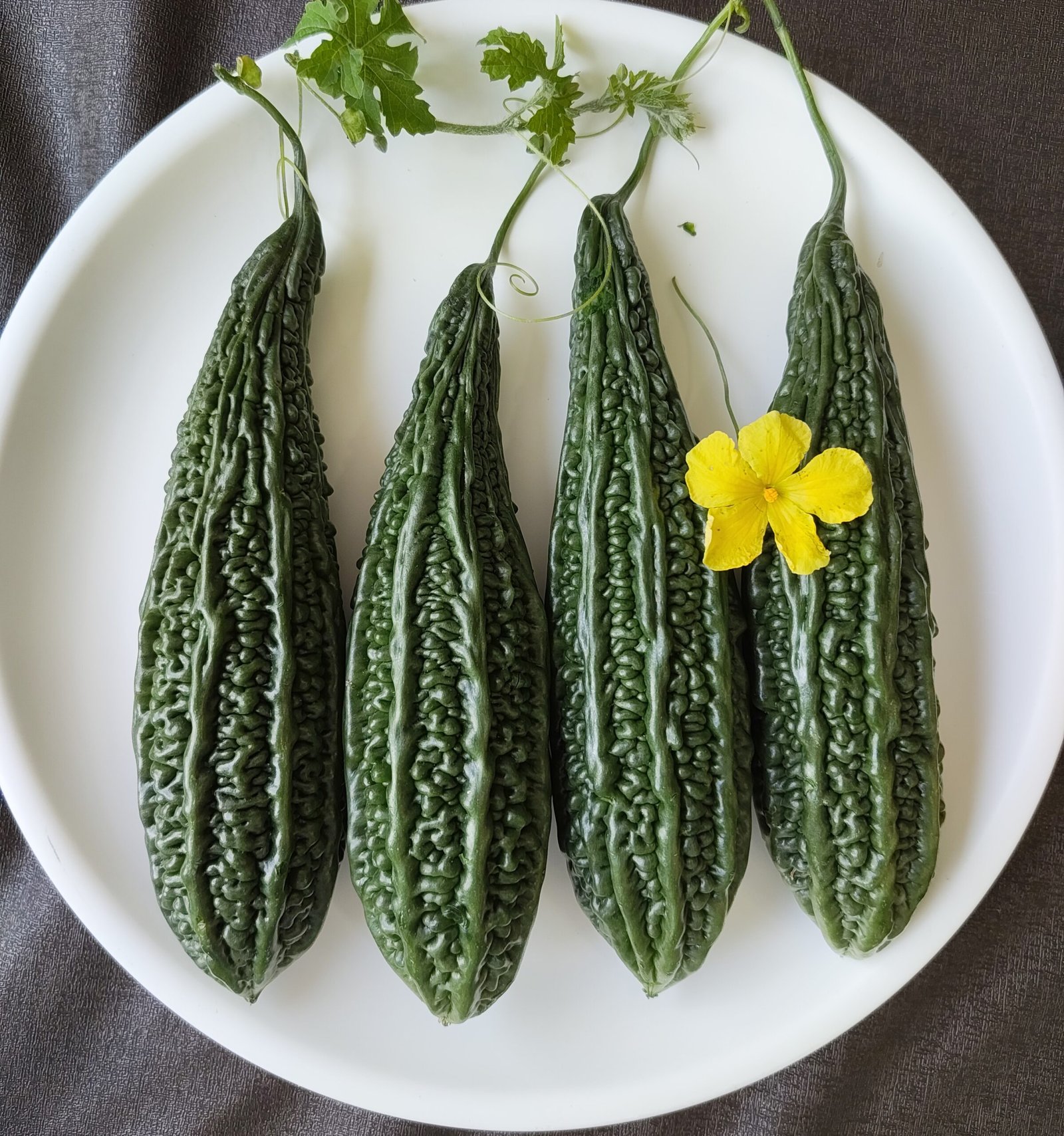 Bitter Gourd F1 Az 7162